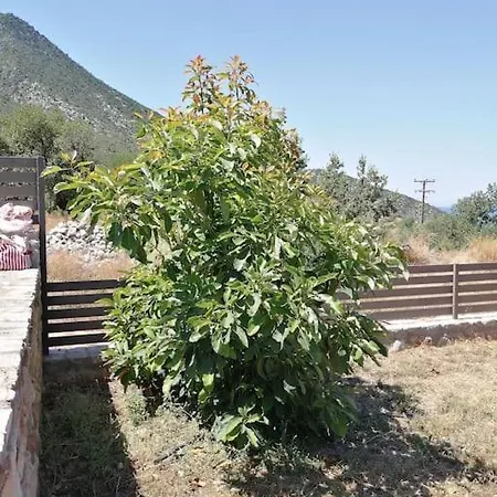 Seaview Lovely Leonídion