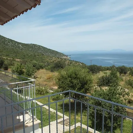 Seaview Lovely Willa *