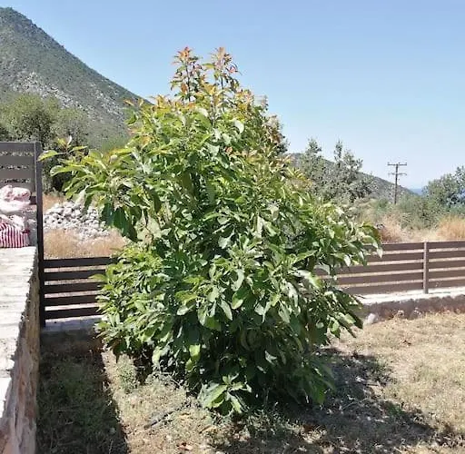 Seaview Lovely Leonídion